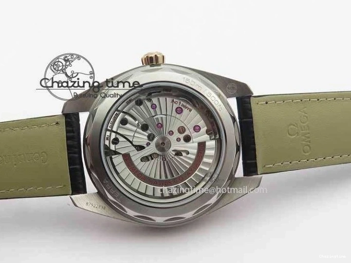 0509 2017 Aqua Terra SS RG XF Best Edition White Textured Dial On Black Leather Strap A Functional 8157